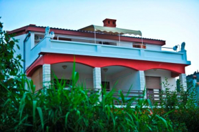 House Anca - Tkon